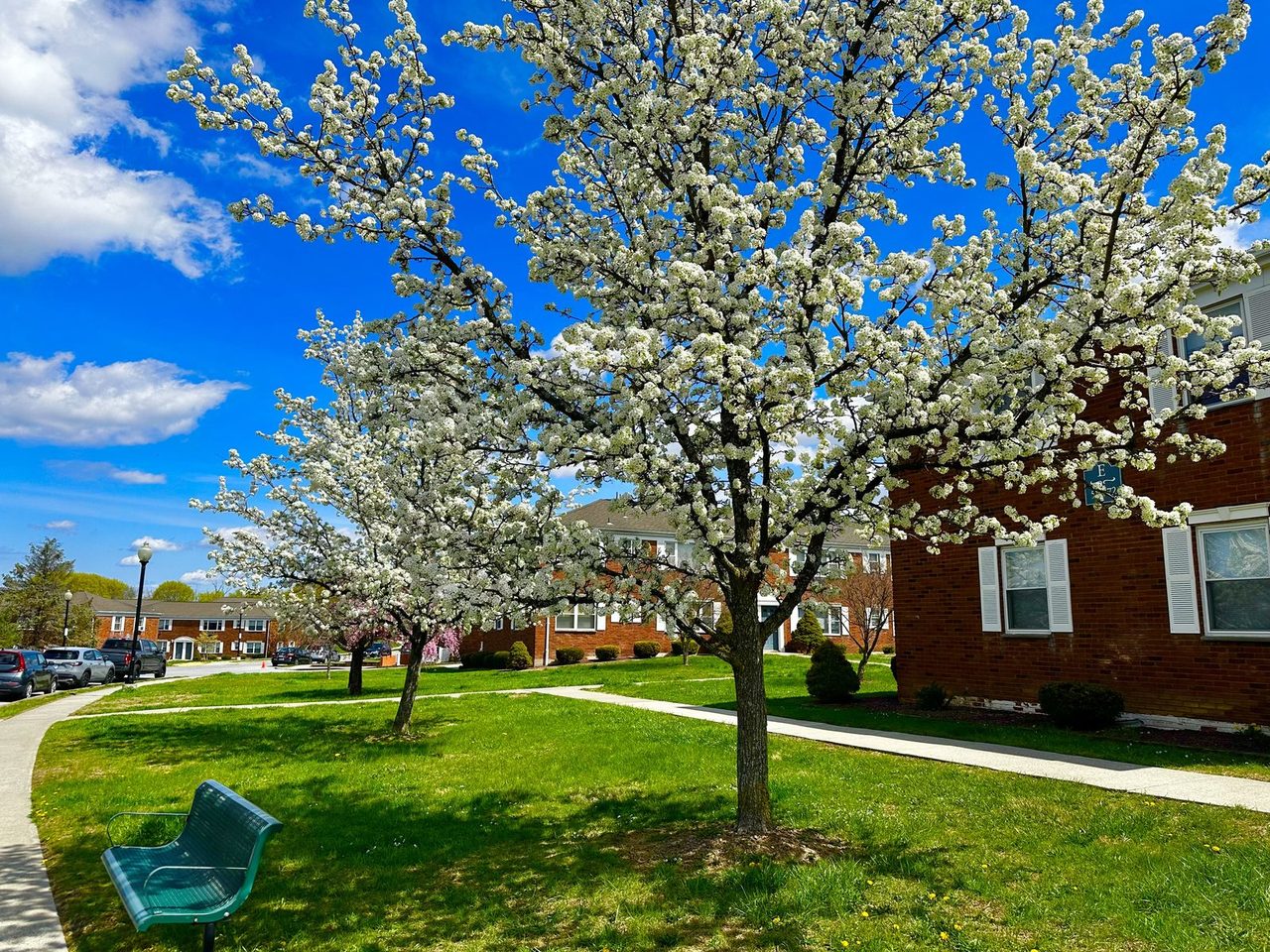Ridgefield Apartments in spring